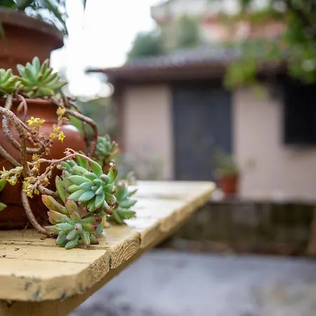 度假居 Gli Ulivi *