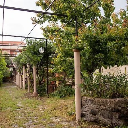 Gli Ulivi Casa vacanze