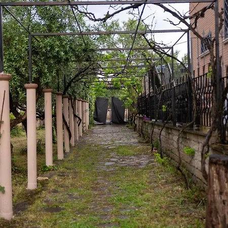 Gli Ulivi